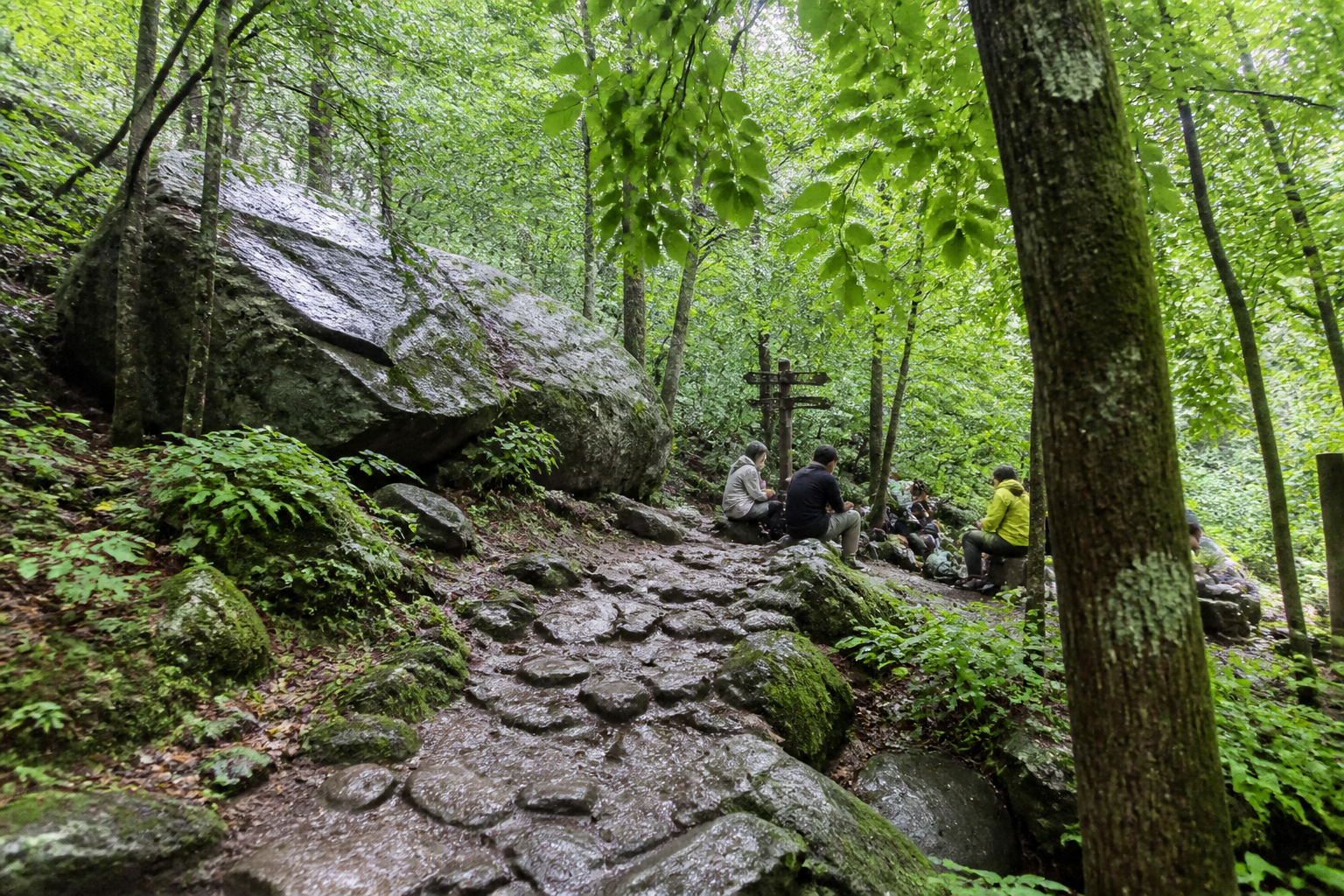 A natural AI-generated SEOULIAN editorial photograph illustrating Jirisan