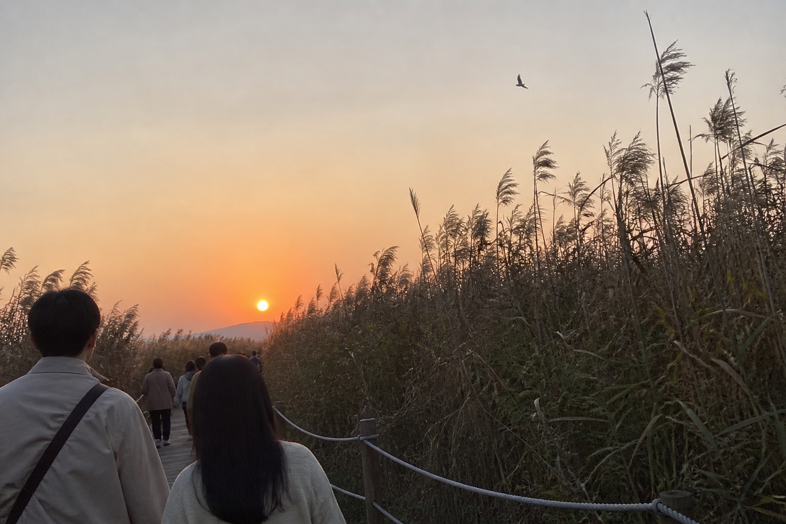 A natural AI-generated SEOULIAN editorial photograph illustrating Suncheon Bay