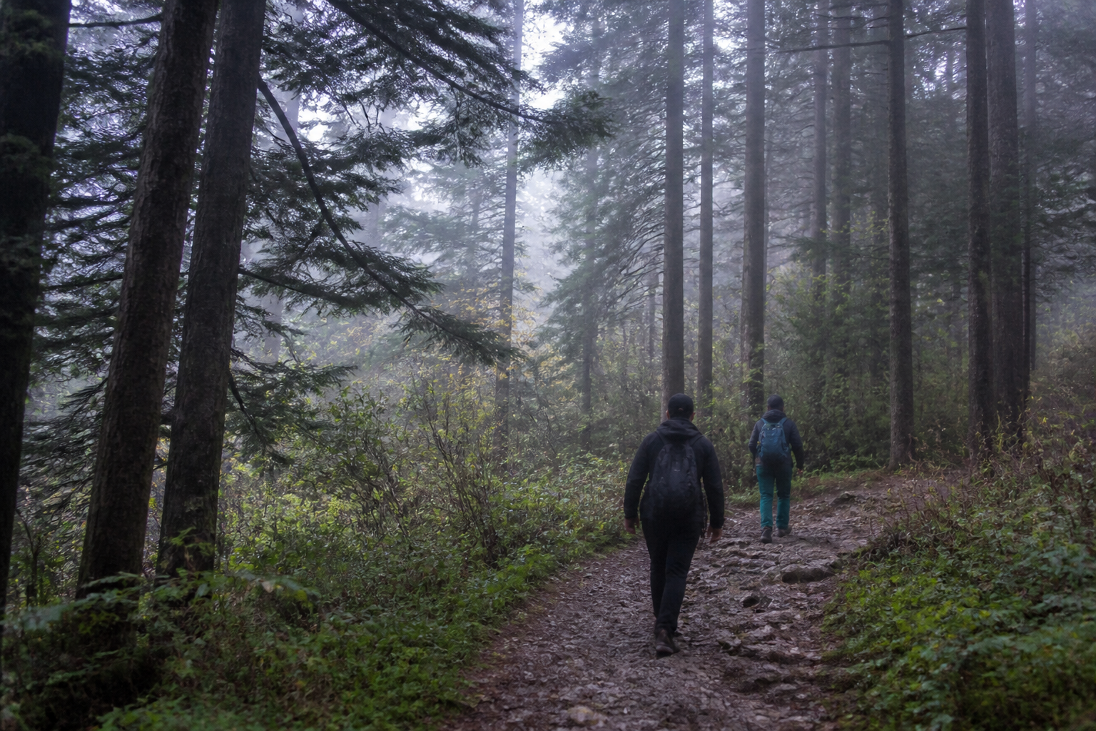 A natural AI-generated SEOULIAN editorial photograph illustrating Odaesan