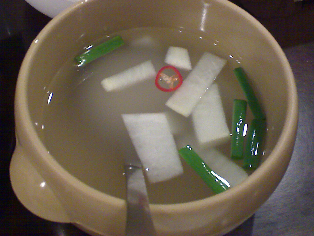 A Wikimedia Commons image illustrating Dongchimi